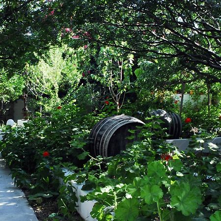 阿达玛斯Milos Garden公寓 外观 照片